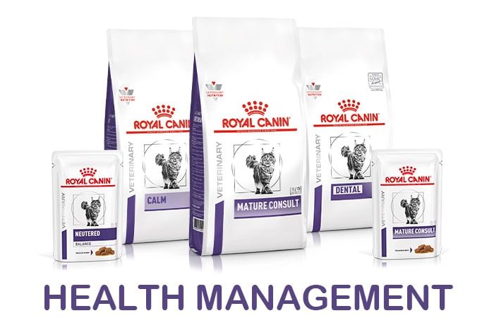 Health Management Cat