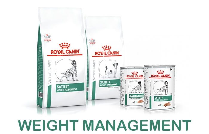 Weight Management Dog