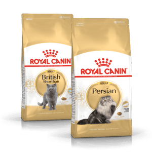 Feline Breed Nutrition