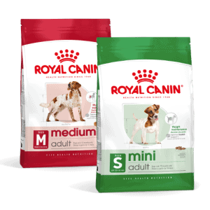 Size Health Nutrition