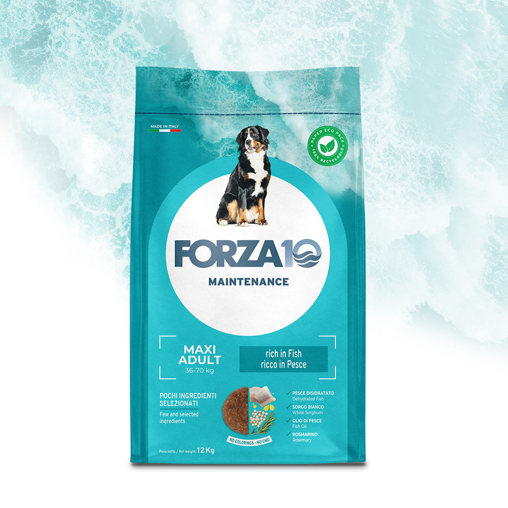 Forza10 Mantenimento Maxi Adult al Pesce 12kg crocchette per cani taglia grande