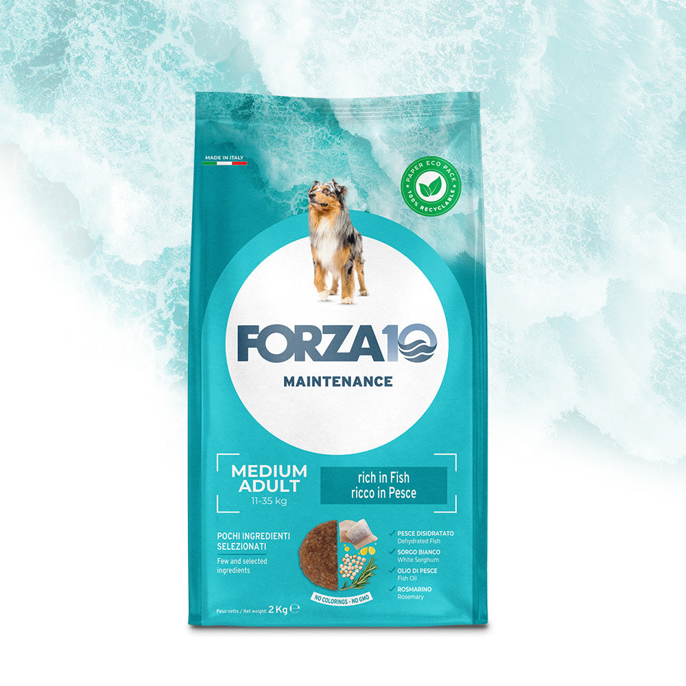 Forza10 Medium Adult Maintenance Pesce 12kg
