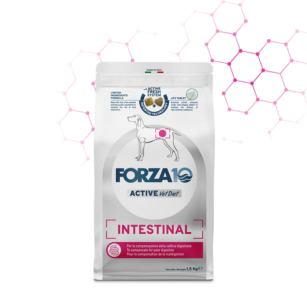 FORZA10 ACTIVE INTESTINAL 4KG