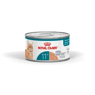 Royal Canin Ageing 11+ Umido multipack 12x85g gatto anziano