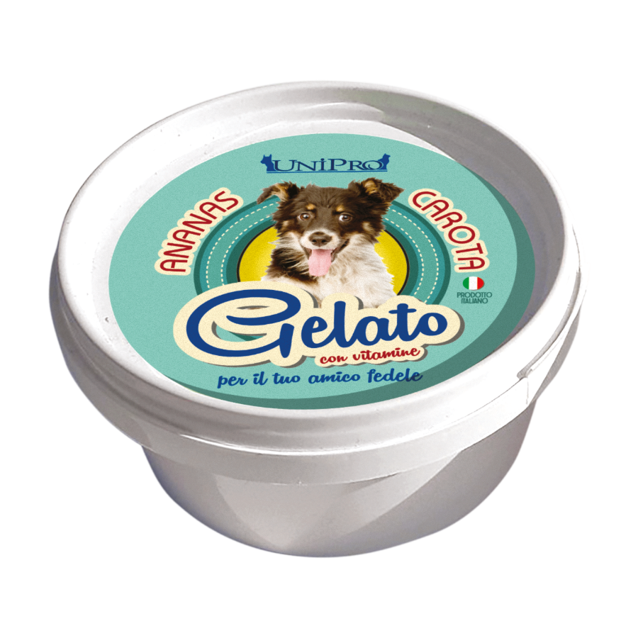 UNIPRO GELATO - ANANAS & CAROTA