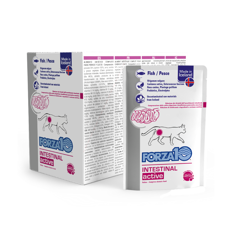 FORZA10 INTESTINAL ACTIWET - 100G