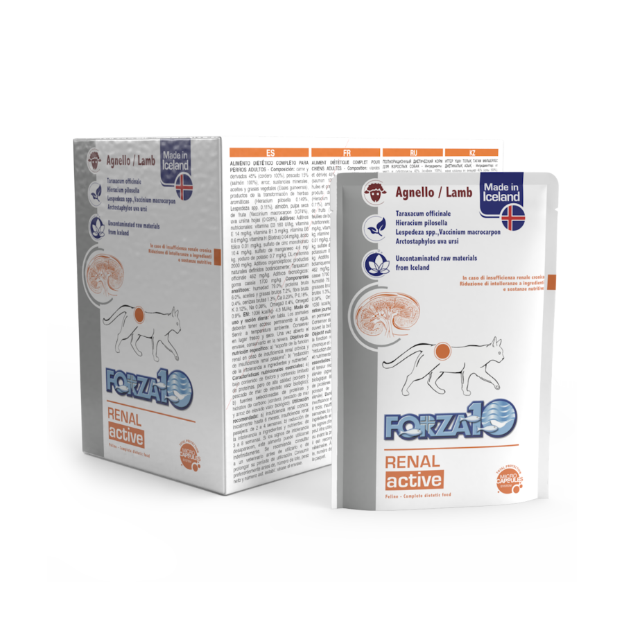 FORZA10 RENAL ACTIWET - 100G