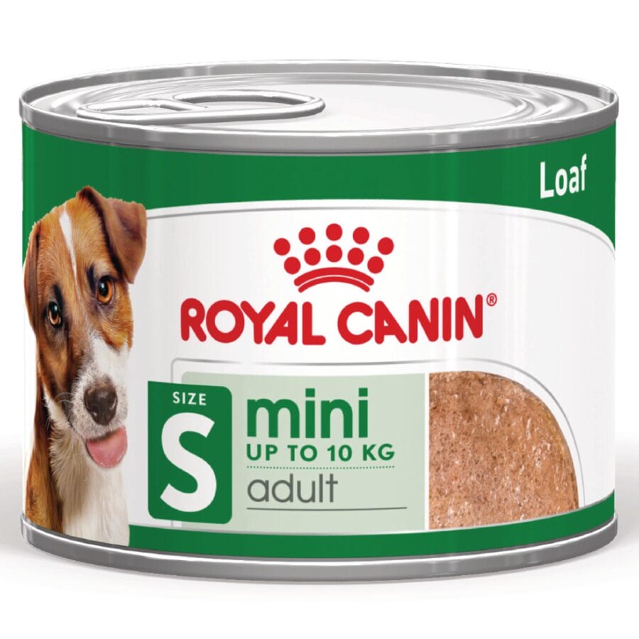ROYAL CANIN MINI ADULT LOAF