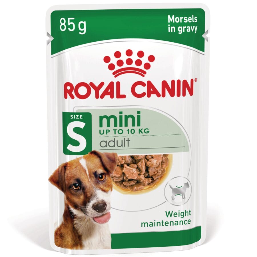 ROYAL CANIN MINI AGEIN ADULT IN SALSA 85G