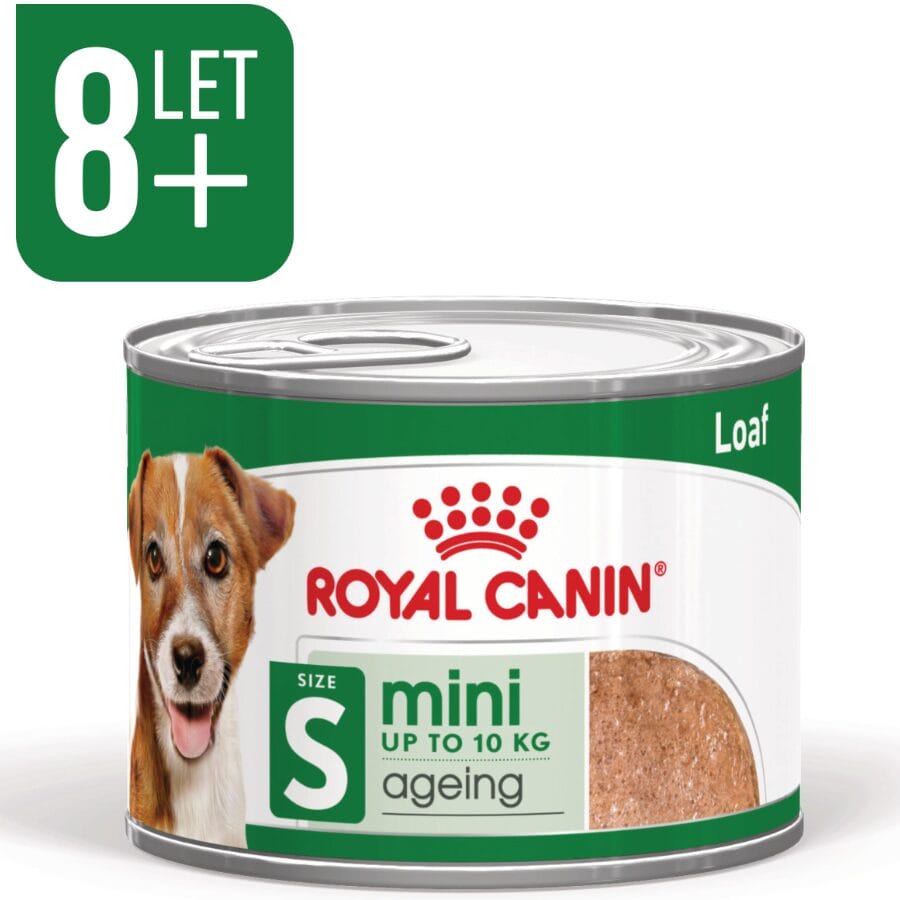 ROYAL CANIN MINI AGEIN 8+ LOAF 85G